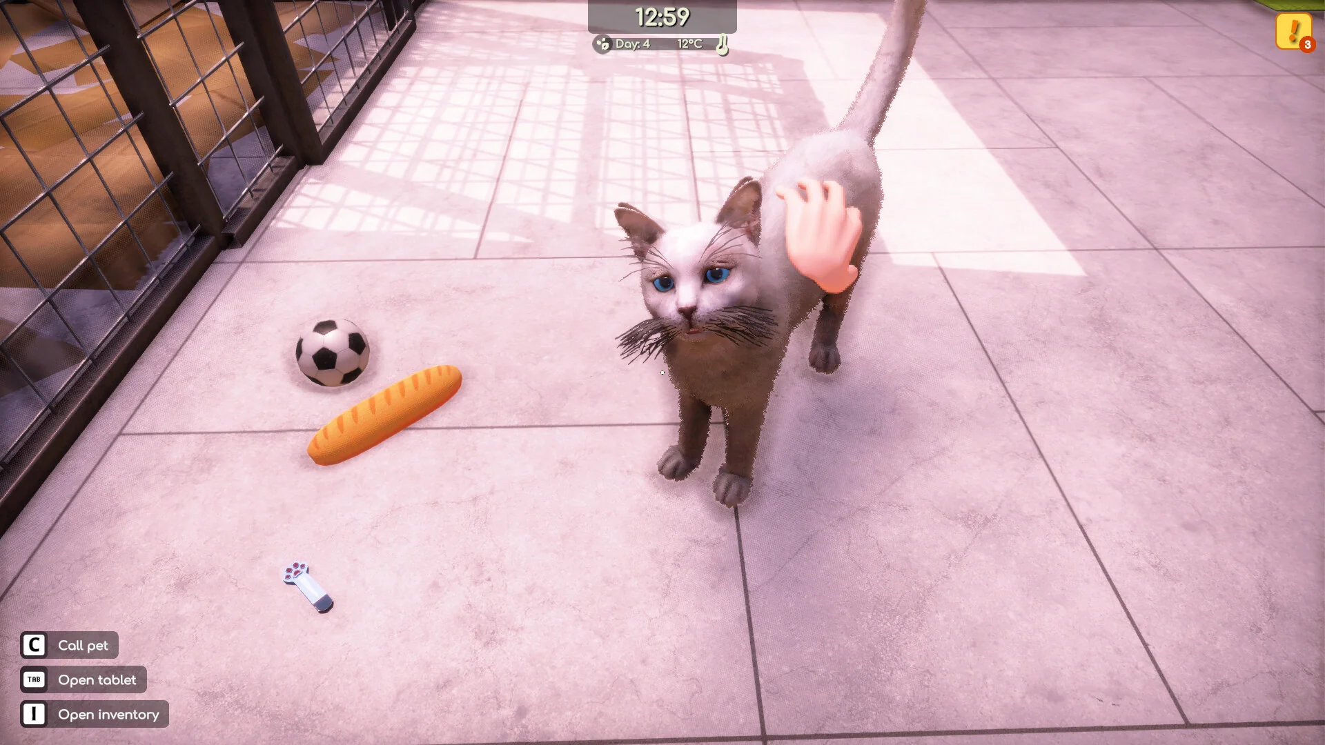 Animal Shelter 2 - Image 3