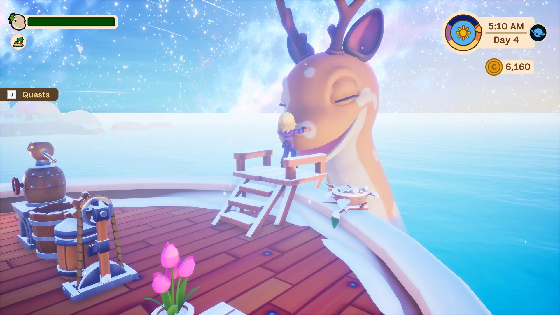 Collector's Cove - Image 11