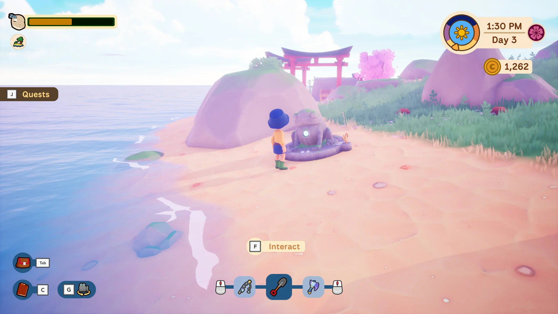 Collector's Cove - Image 3