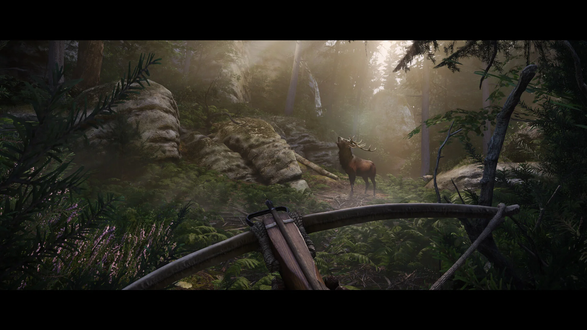 Kingdom Come: Deliverance II - Image 4