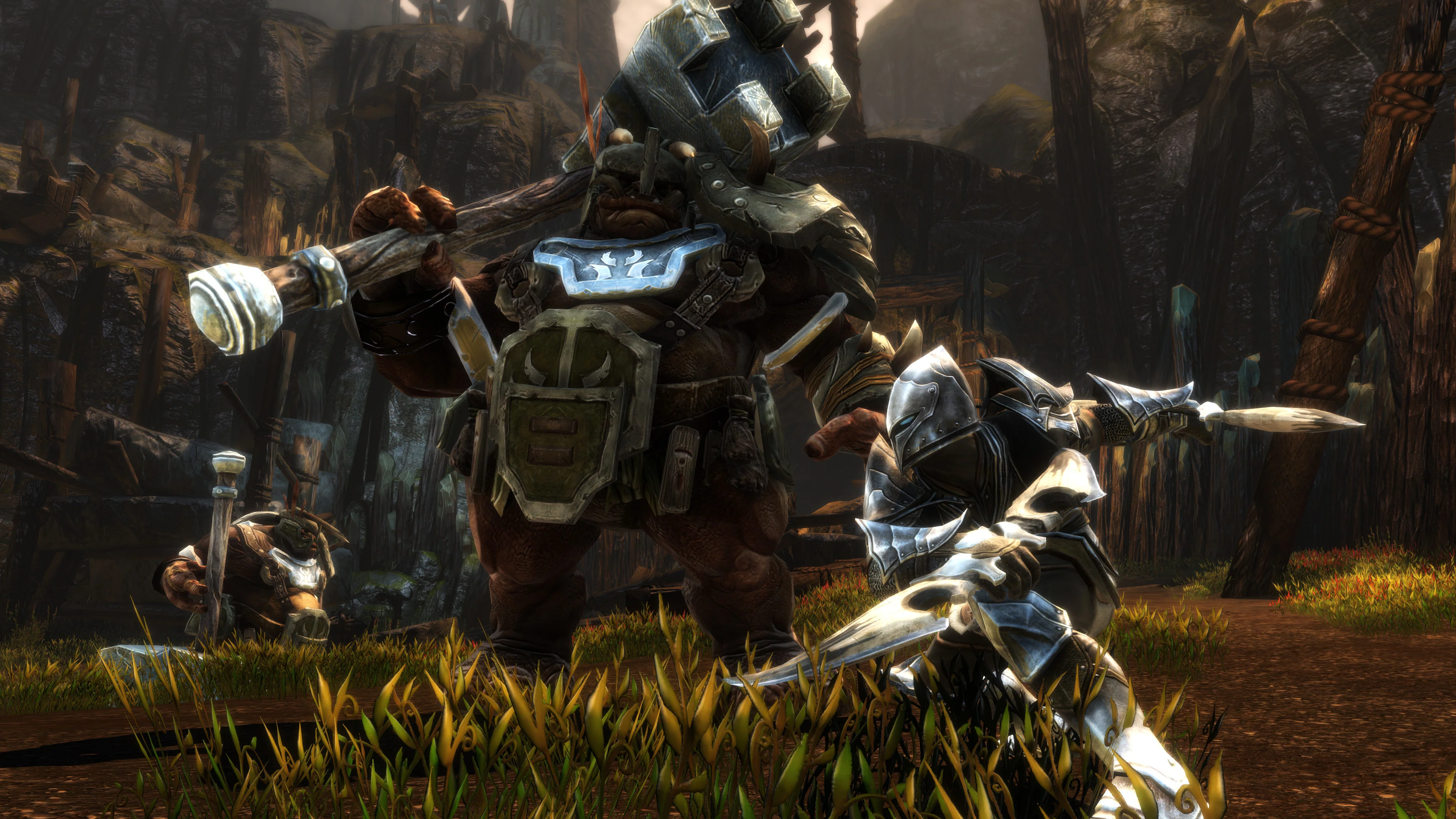 Kingdoms of Amalur: Re-Reckoning - Image 8