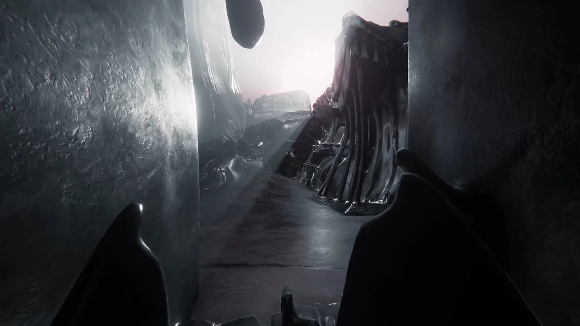 The Signifier Director’s Cut - Image 16