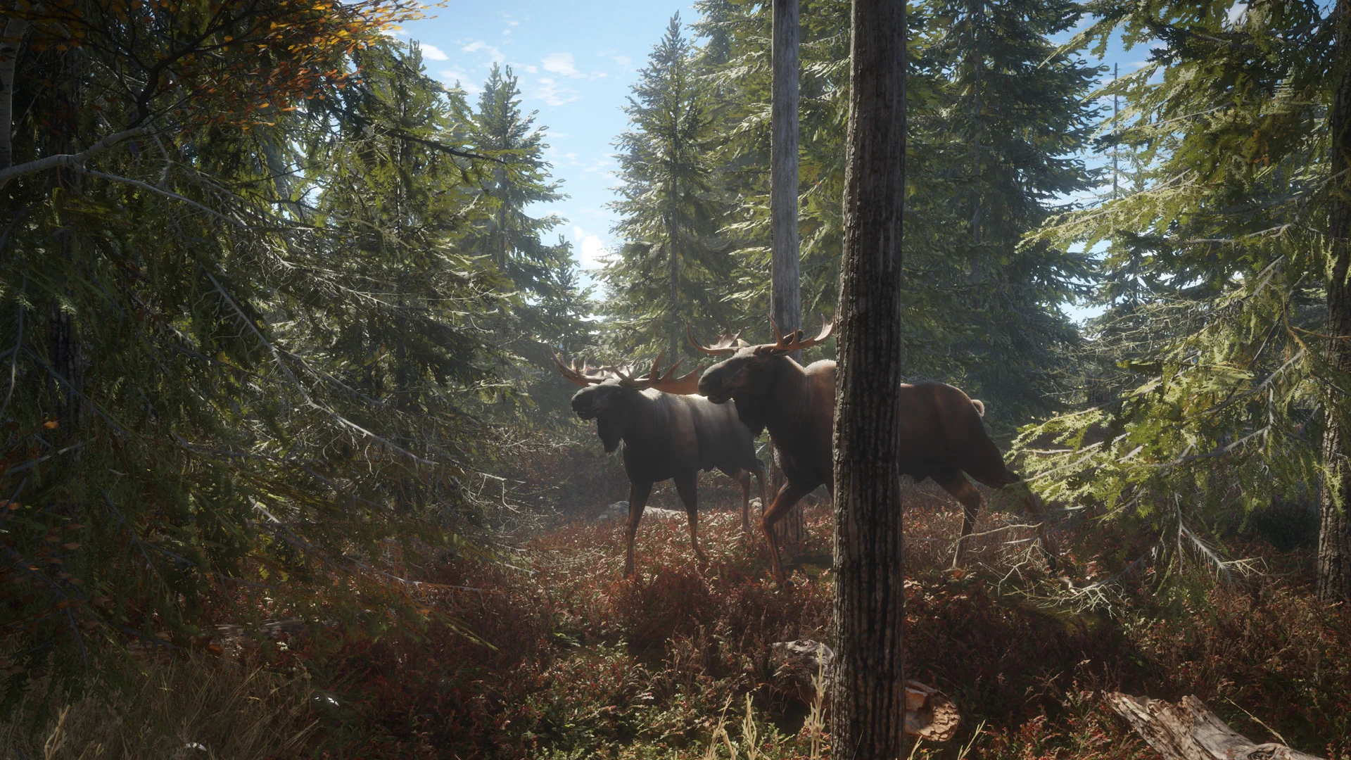 theHunter: Call of the Wild™ - Image 10