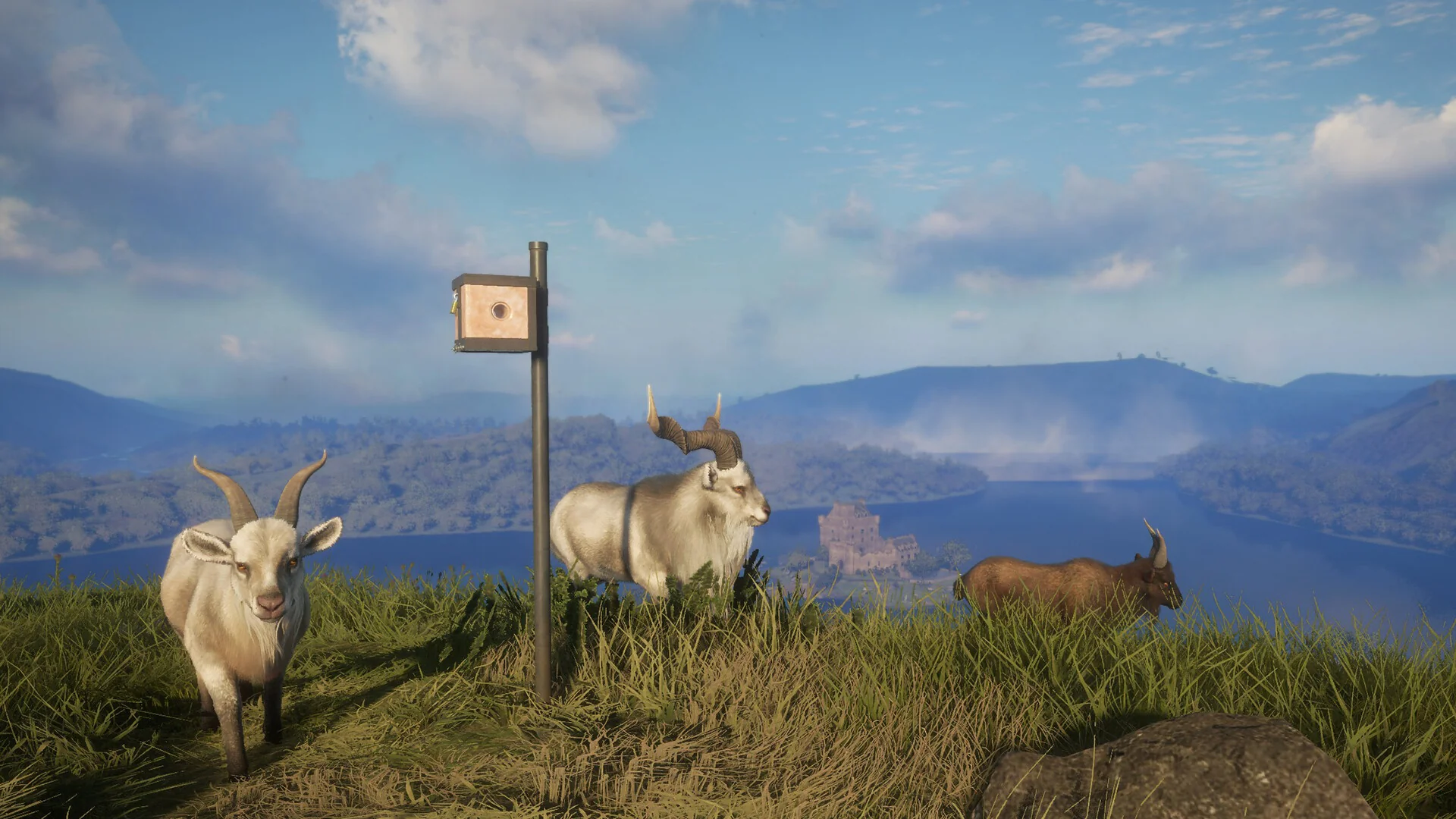 theHunter: Call of the Wild™ - Game Feeder Pack 2 - Image 4