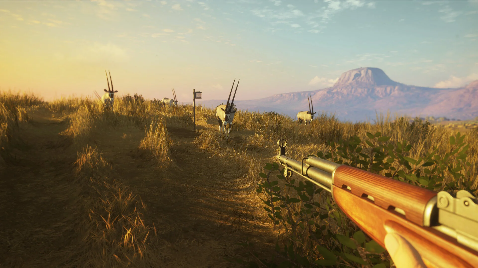 theHunter: Call of the Wild™ - Game Feeder Pack 2 - Image 5