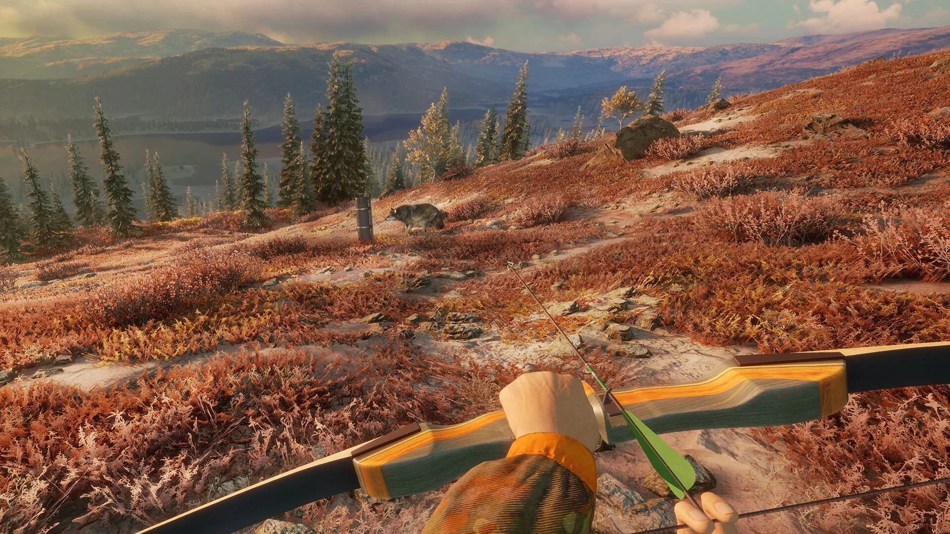theHunter: Call of the Wild™ - Game Feeder Pack 2 - Image 6