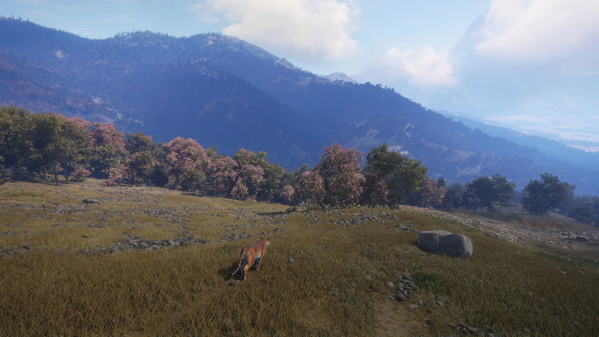 theHunter: Call of the Wild™ - Sundarpatan Nepal Hunting Reserve - Image 18