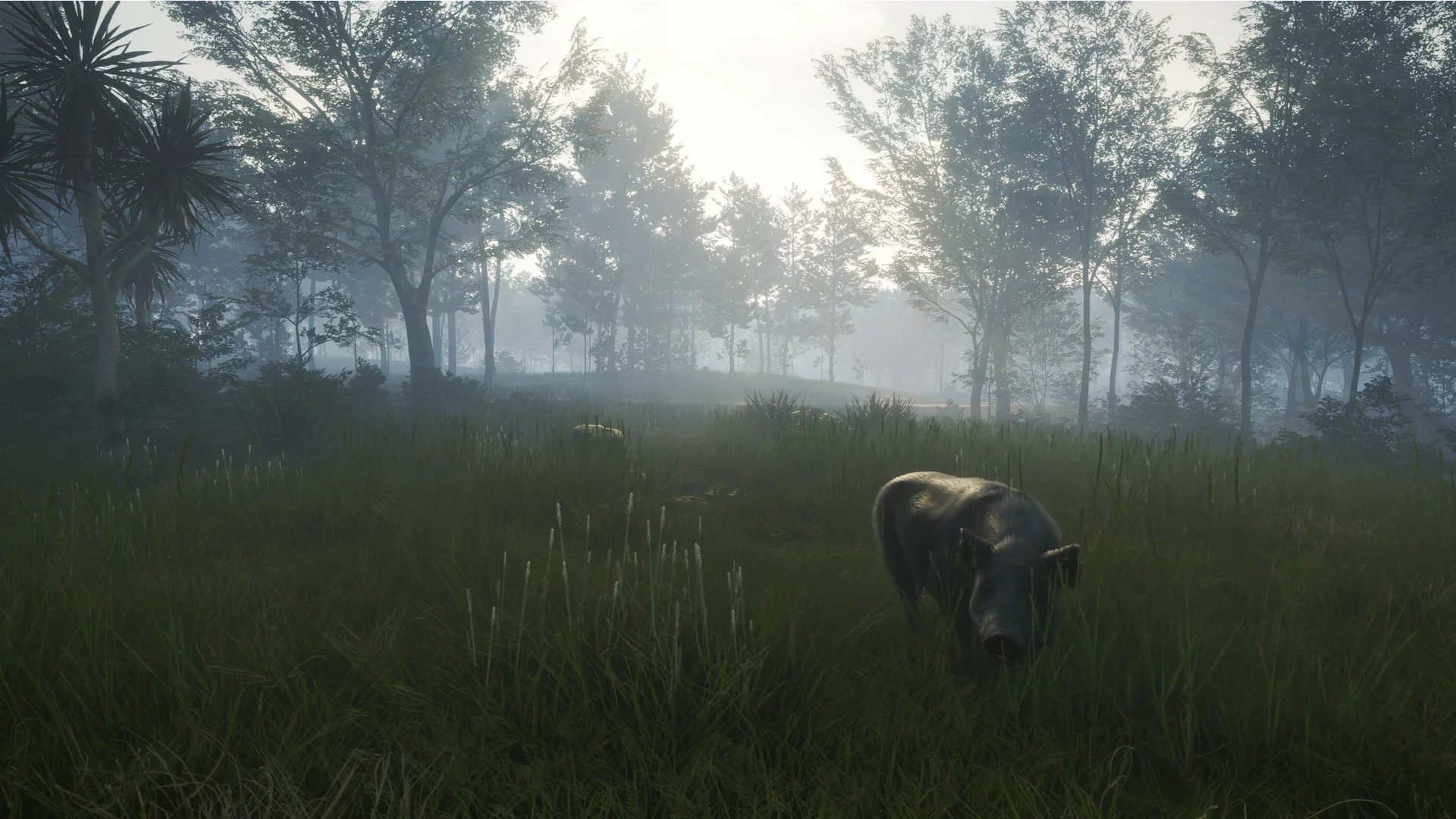 theHunter: Call of the Wild™ - Te Awaroa National Park - Image 11