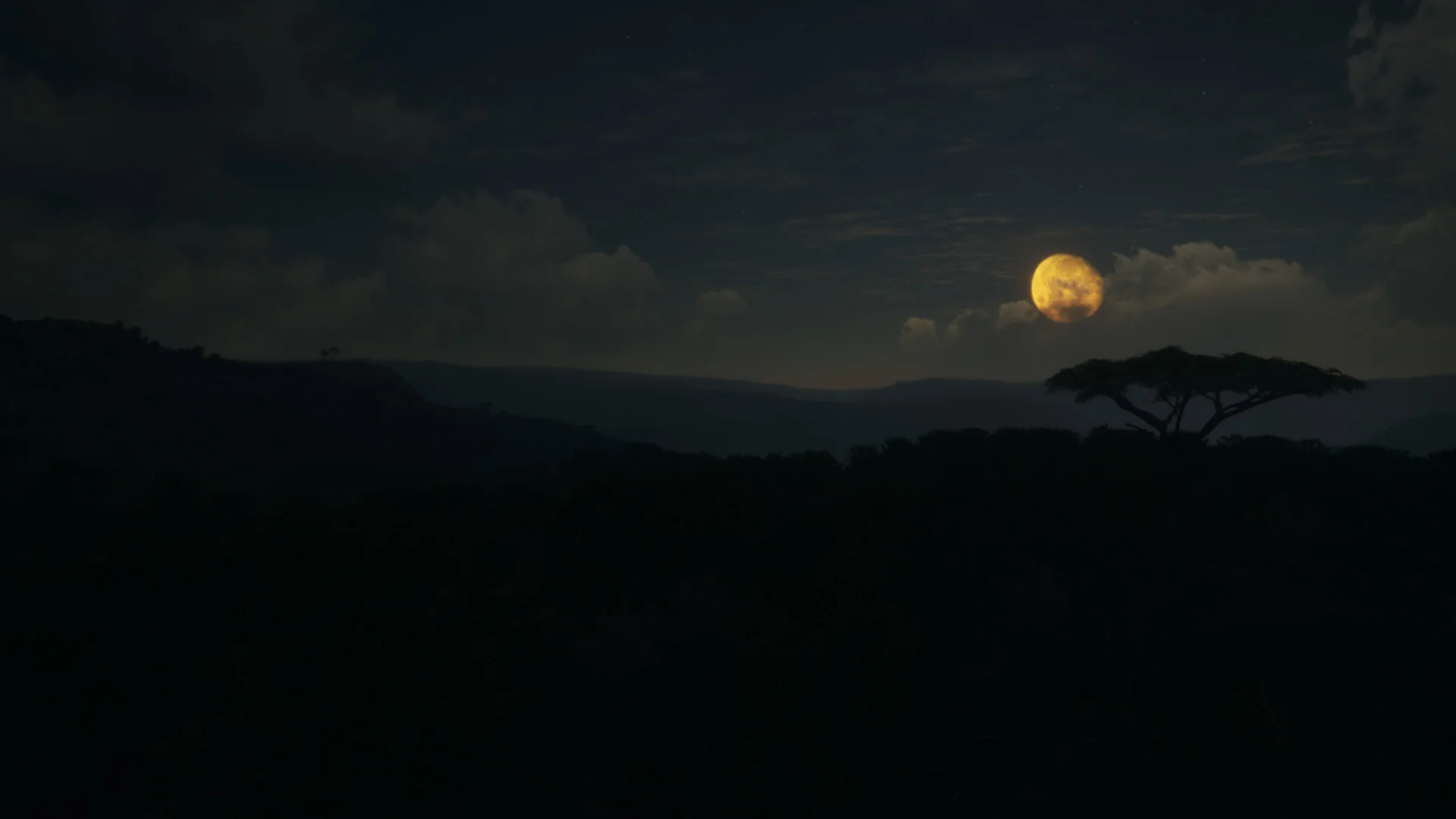 theHunter: Call of the Wild™ - Vurhonga Savanna - Image 10