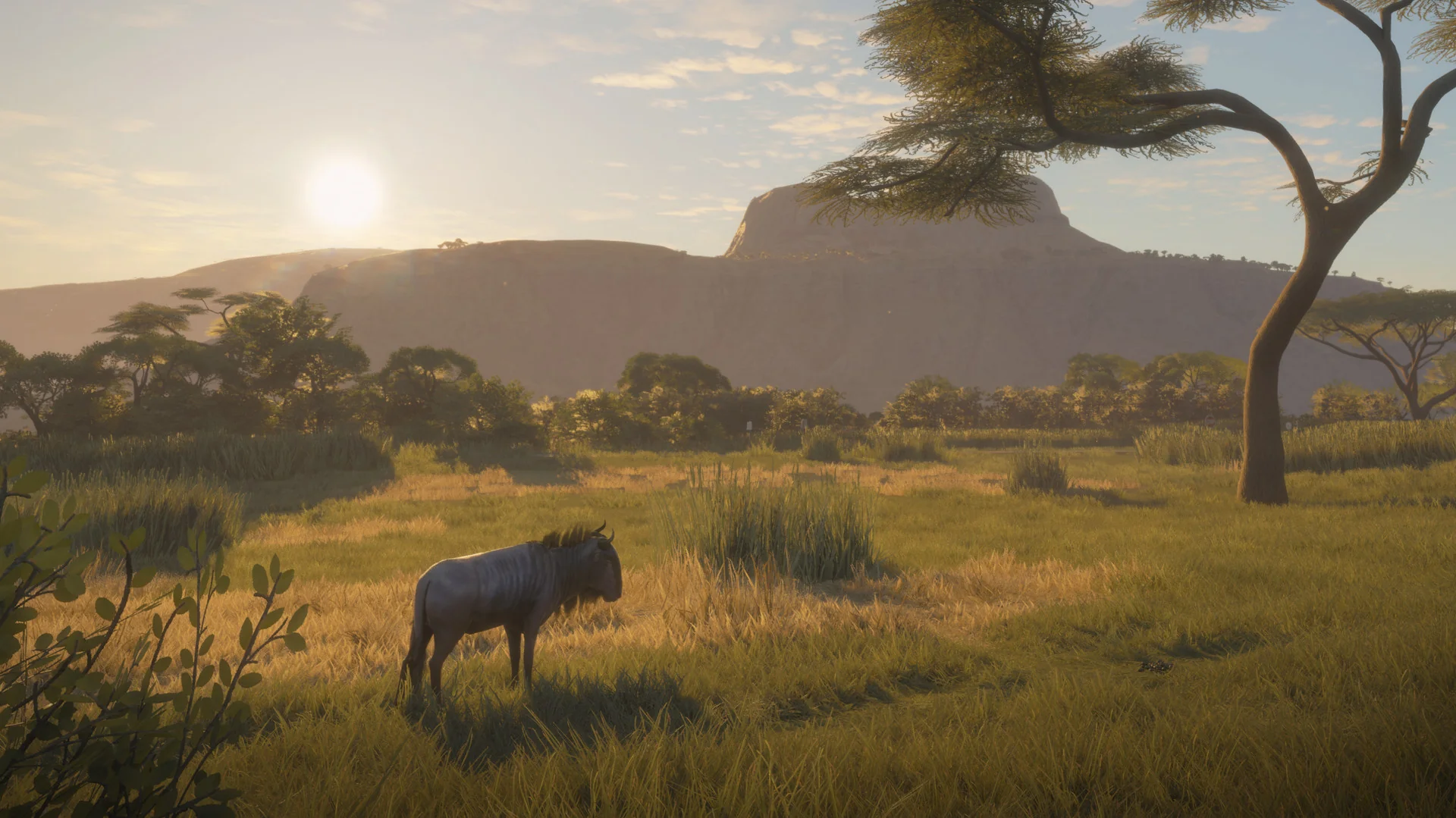 theHunter: Call of the Wild™ - Vurhonga Savanna - Image 6