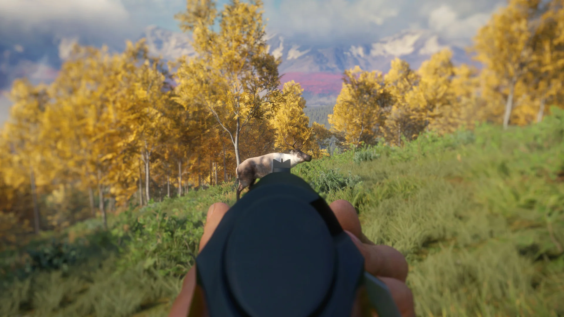 theHunter: Call of the Wild™ - Weapon Pack 3 - Image 3