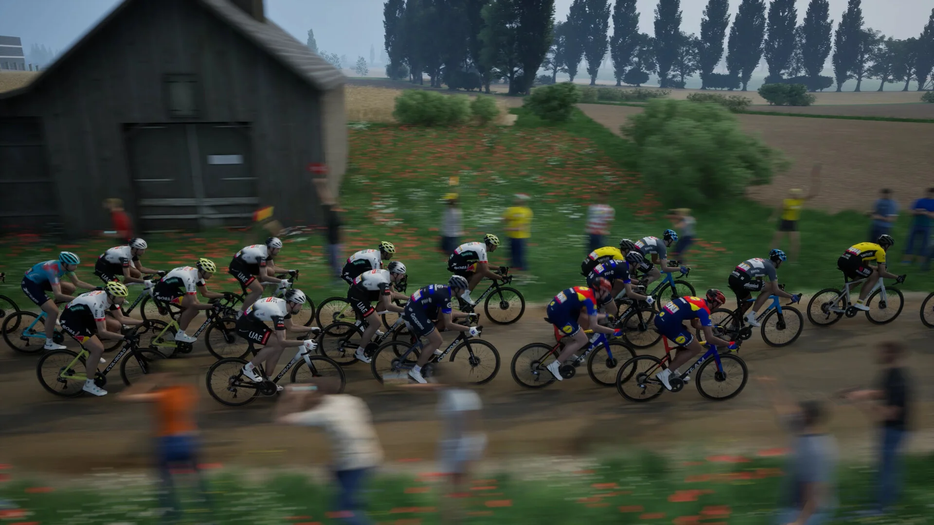 Tour de France 2025 - Image 7