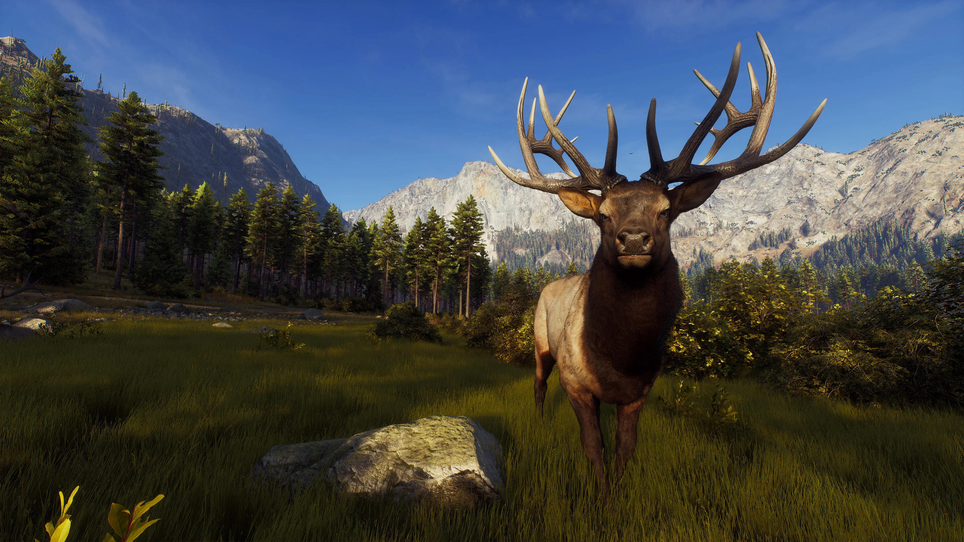 Way of the Hunter Elite Edition - Image 8