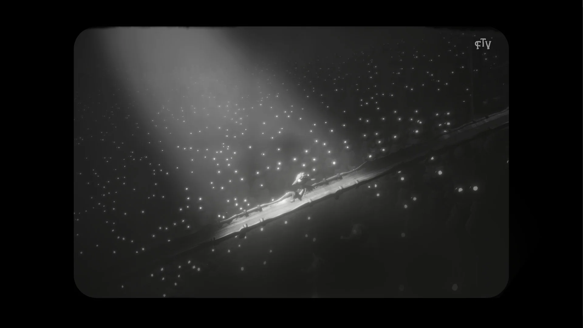 White Shadows - Image 3