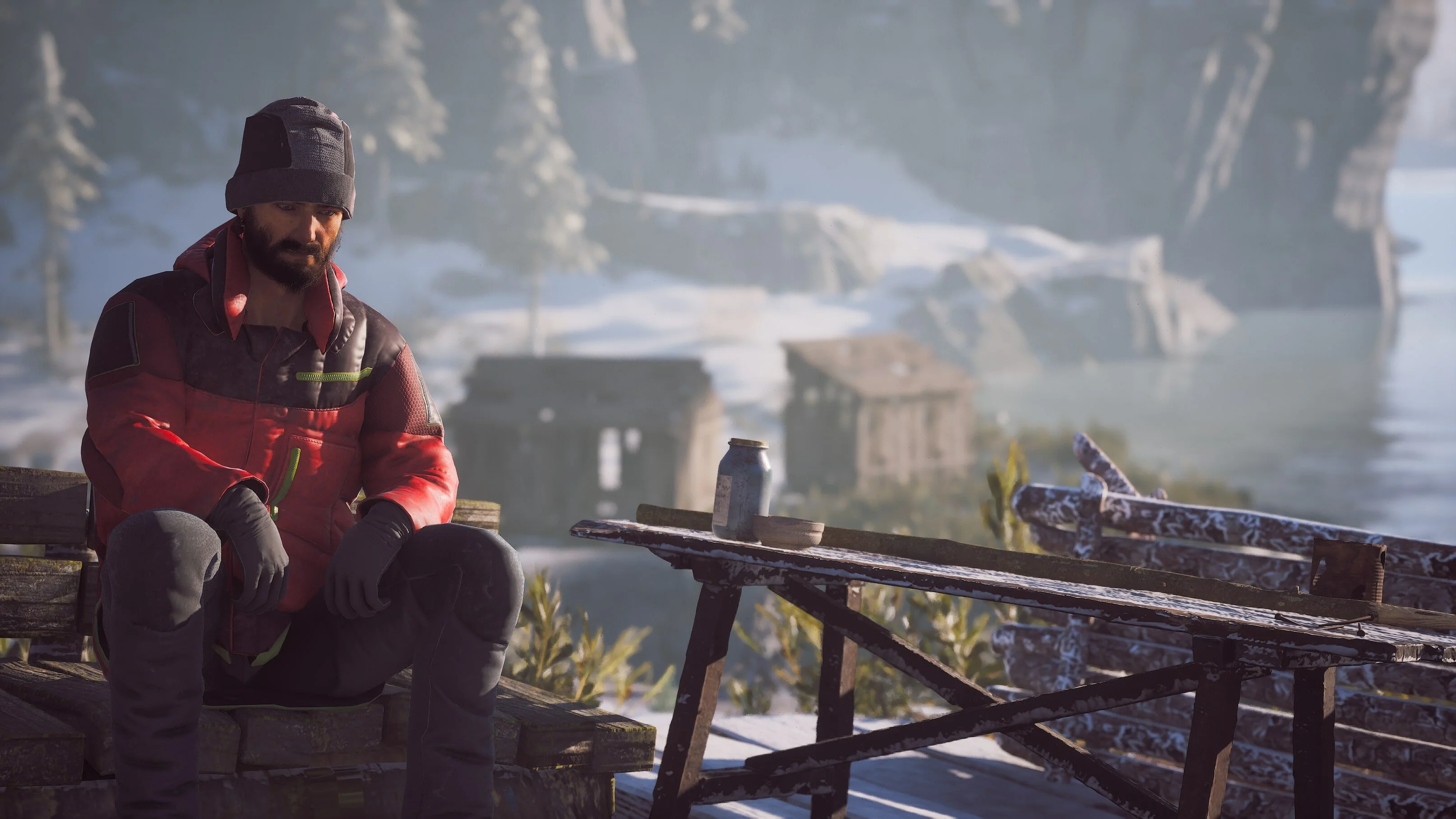 Winter Survival - Image 2