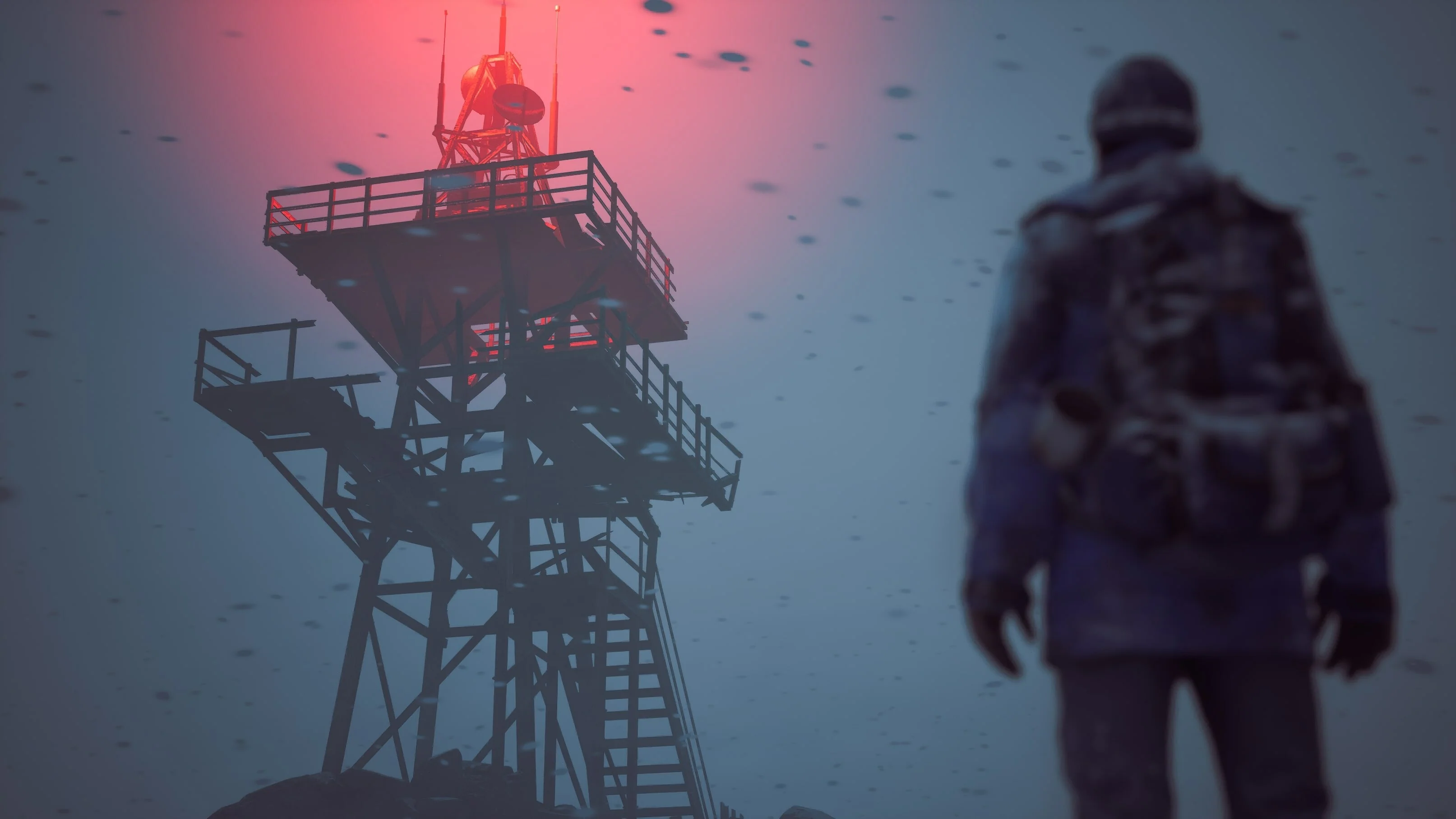 Winter Survival - Image 3