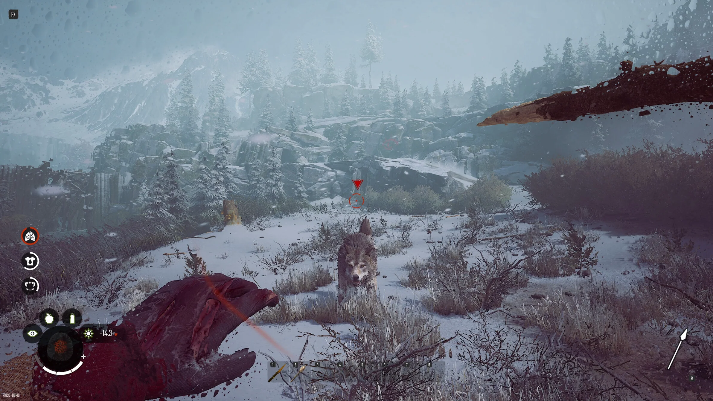 Winter Survival - Image 4
