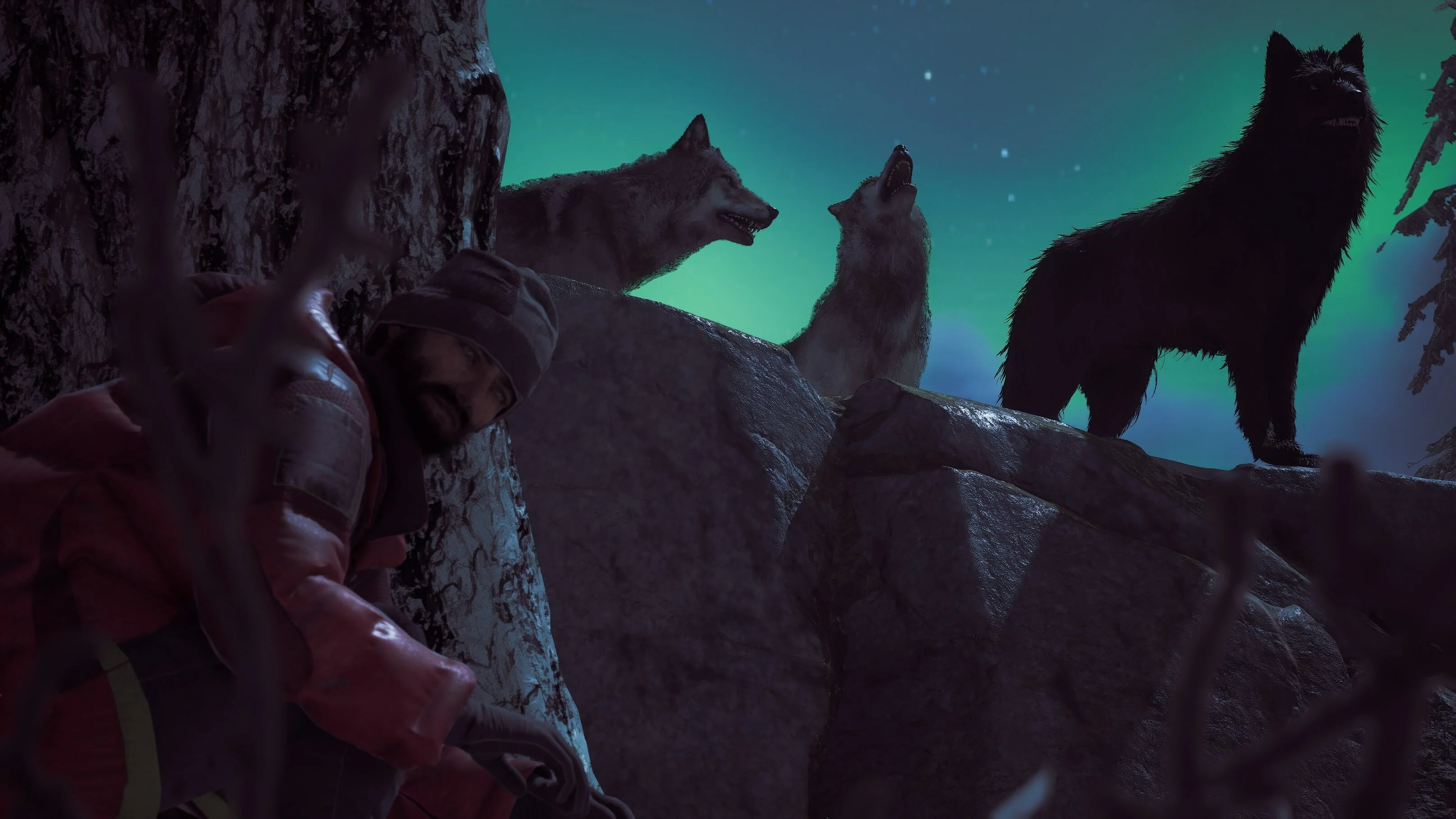 Winter Survival - Image 7