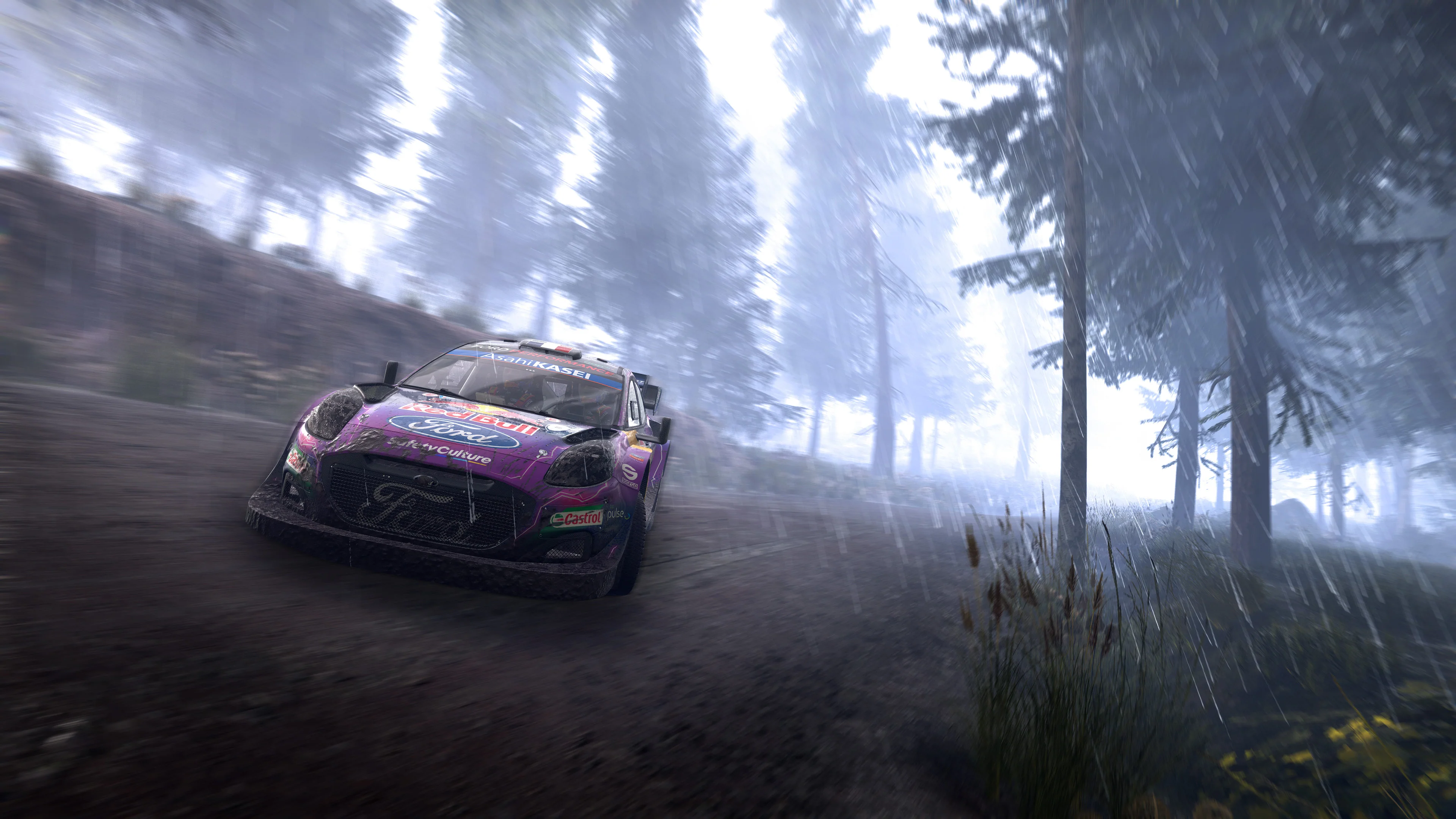 WRC Generations – The FIA WRC Official Game - Image 5